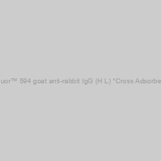 Image of iFluor™ 594 goat anti-rabbit IgG (H+L) *Cross Adsorbed*